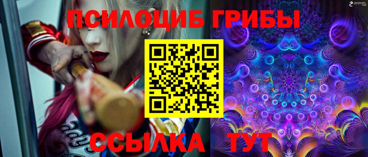 как найти   Псилоцибиновые грибы мухоморы  Вход с VPN  Долгопрудный 